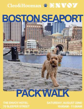 Boston Seaport Packwalk